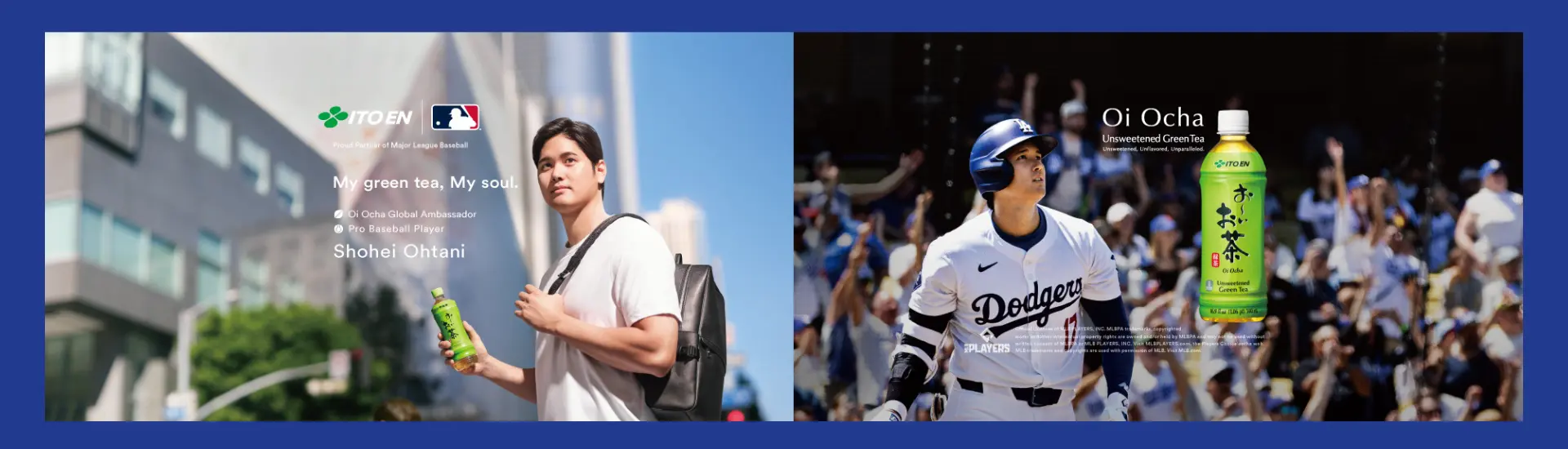 Authentic Japanese Green Tea Heritage